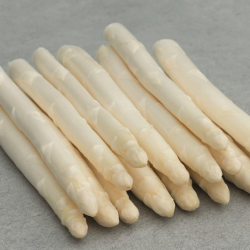 Szparag Prius f1 500 nasion prec. st